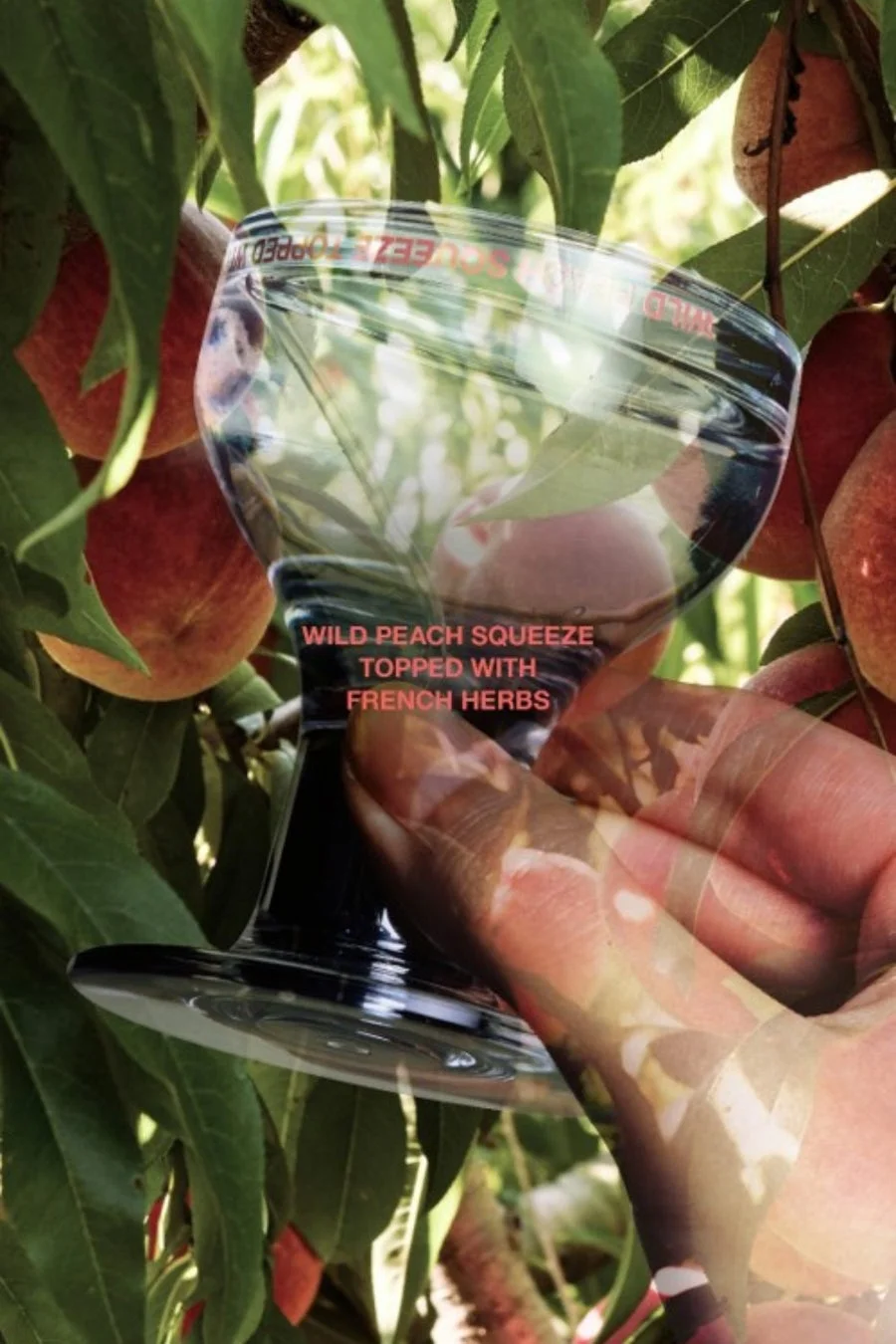桃の果汁を思わせるWILD PEACH EAU DE PARFUM