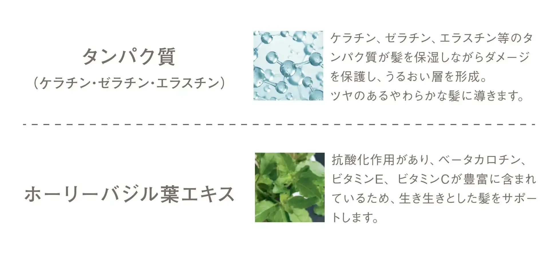 タンパク質と植物性由来の成分について