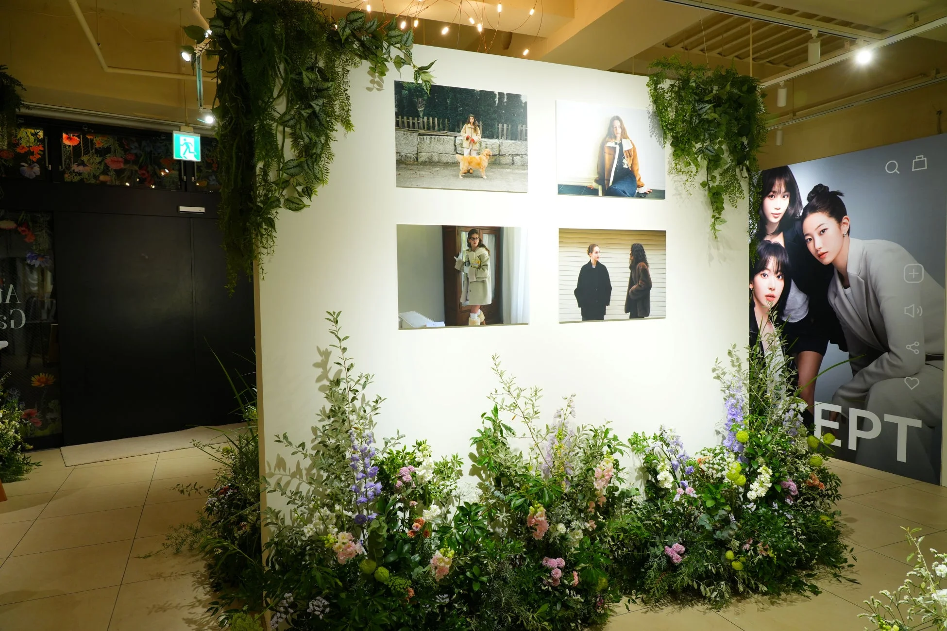 写真と植物で装飾された屋内空間