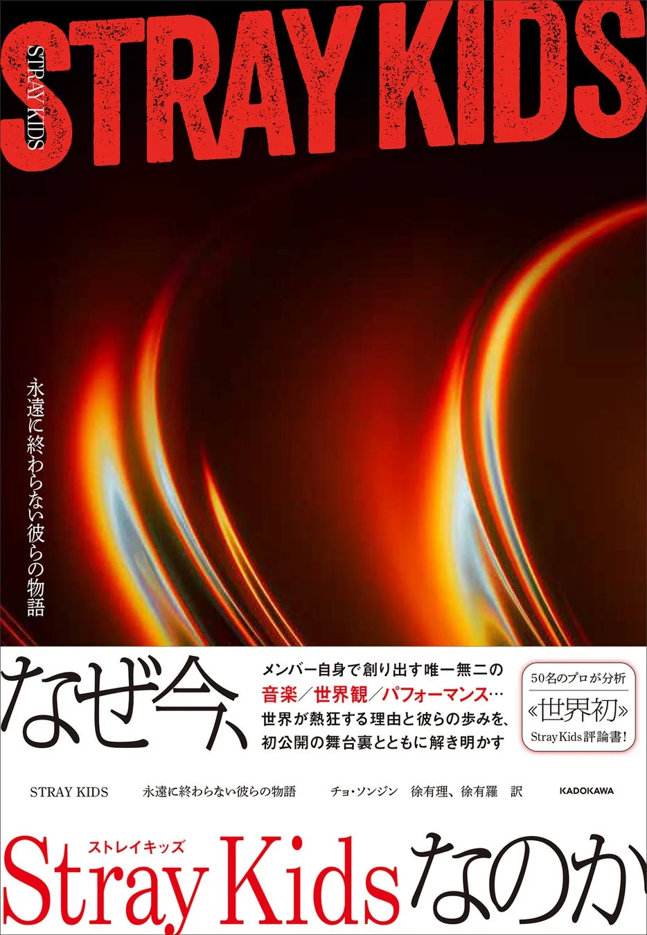 STRAYKIDS 永遠に終わらない彼らの物語