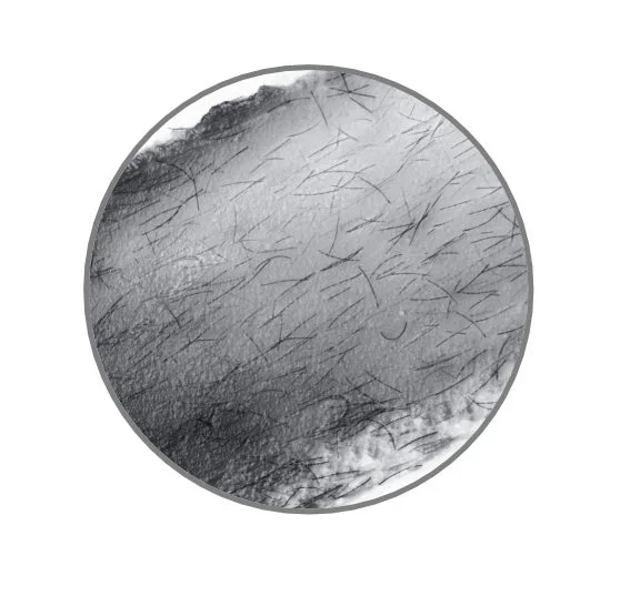 毛のクローズアップ